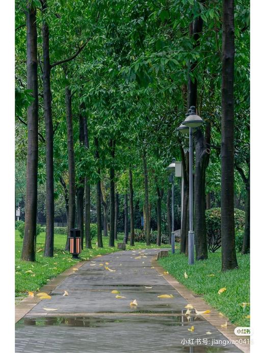 行摄广州 分享美好行 3月16日（周四） 商品图3