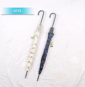 雨伞A113