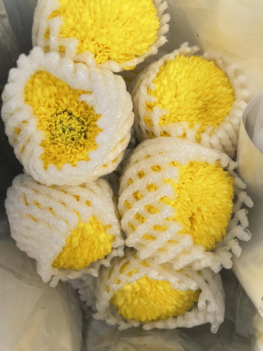 【乒乓菊】-黄色  约10枝/扎 商品图4