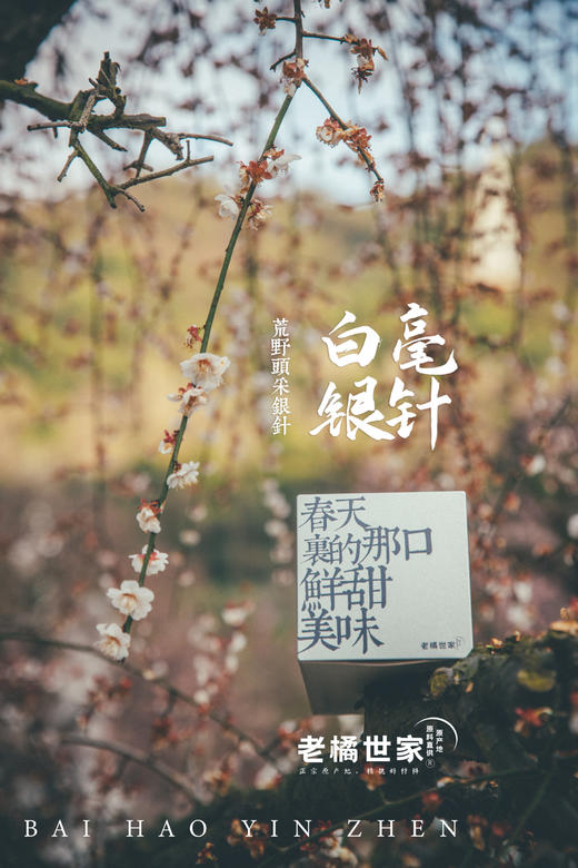 白毫银针荒野头采银针2022年特级散茶白茶 商品图3