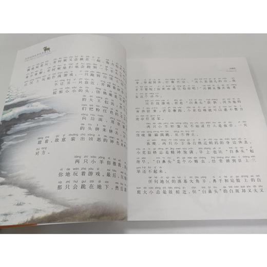 大角王+狼王洛波+大黄狗乌利+狐狸妈妈的爱+熊王(注音彩色美绘版) 商品图3