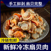 【生鲜专区】无冰扇贝肉 2斤/3斤可选  公母贝肉随机发 顺丰/京东包邮{冷冻生鲜请及时签收} 商品缩略图0