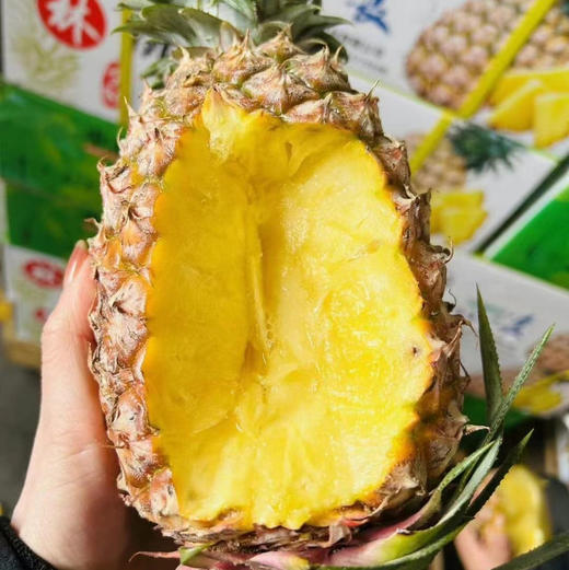 海南金钻凤梨🍍浓郁的果香、饱满的果肉、脆嫩爆汁的口感。是多少吃货们心心念念的那一口「甜蜜😋 商品图0