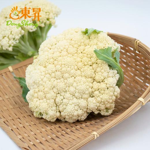 东升农场  有机白花菜  椰菜花  广州供港蔬菜新鲜配送400G 商品图2