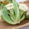 东升农场  有机白花菜  椰菜花  广州供港蔬菜新鲜配送400G 商品缩略图3