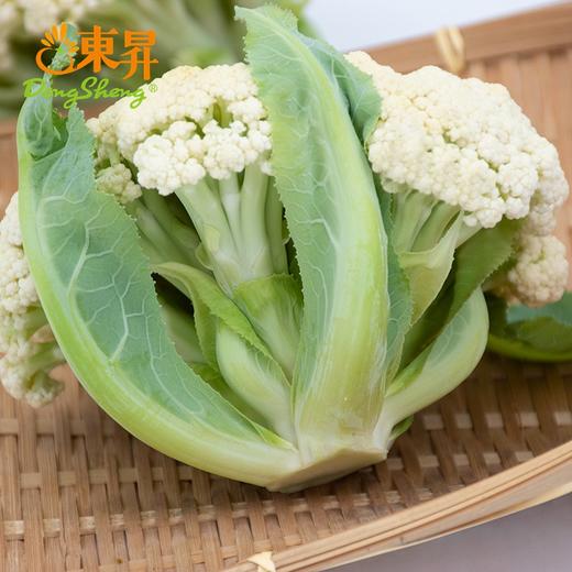东升农场  有机白花菜  椰菜花  广州供港蔬菜新鲜配送400G 商品图3