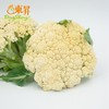 东升农场  有机白花菜  椰菜花  广州供港蔬菜新鲜配送400G 商品缩略图1