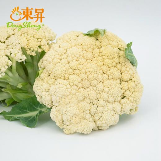 东升农场  有机白花菜  椰菜花  广州供港蔬菜新鲜配送400G 商品图1