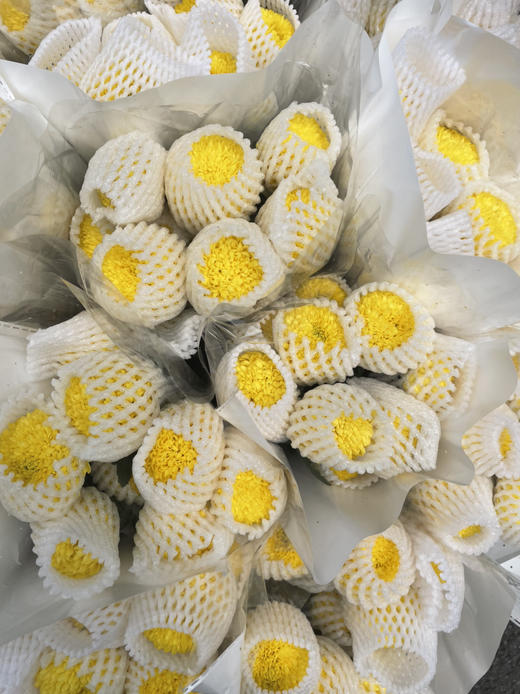 【乒乓菊】-黄色  约10枝/扎 商品图6