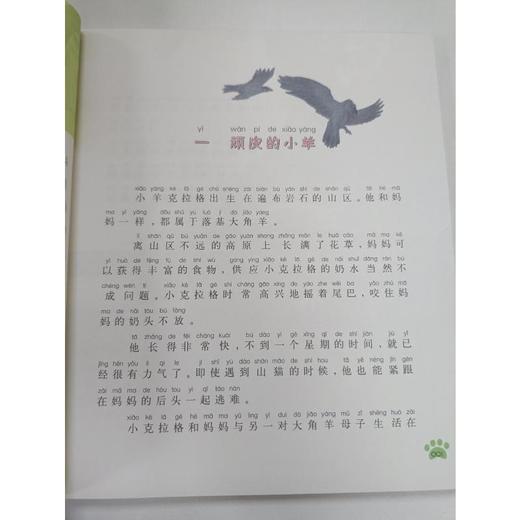 大角王+狼王洛波+大黄狗乌利+狐狸妈妈的爱+熊王(注音彩色美绘版) 商品图1