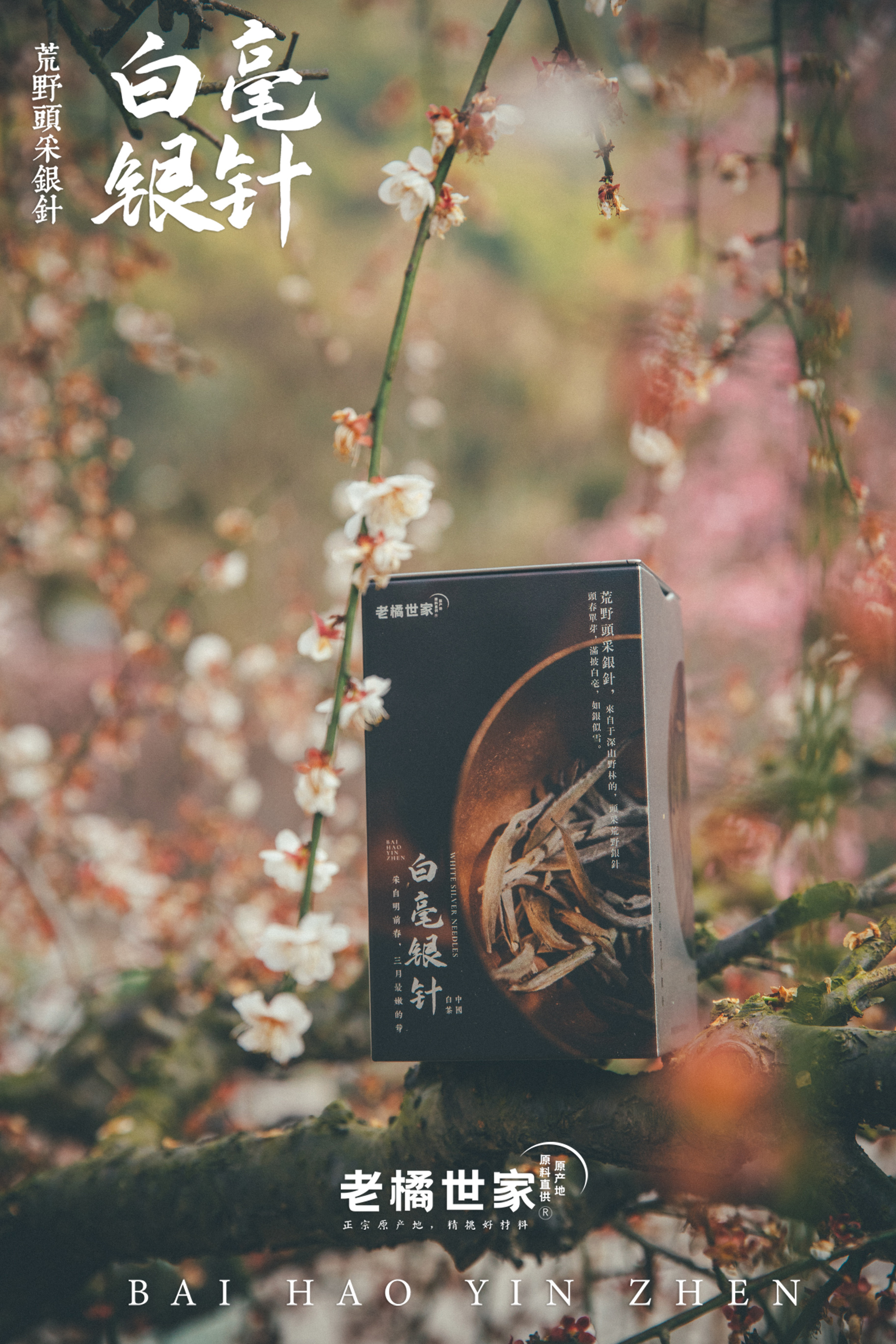 白毫银针荒野头采银针2022年特级散茶白茶