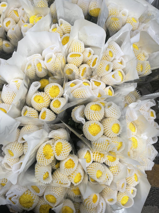 【乒乓菊】-黄色  约10枝/扎 商品图5