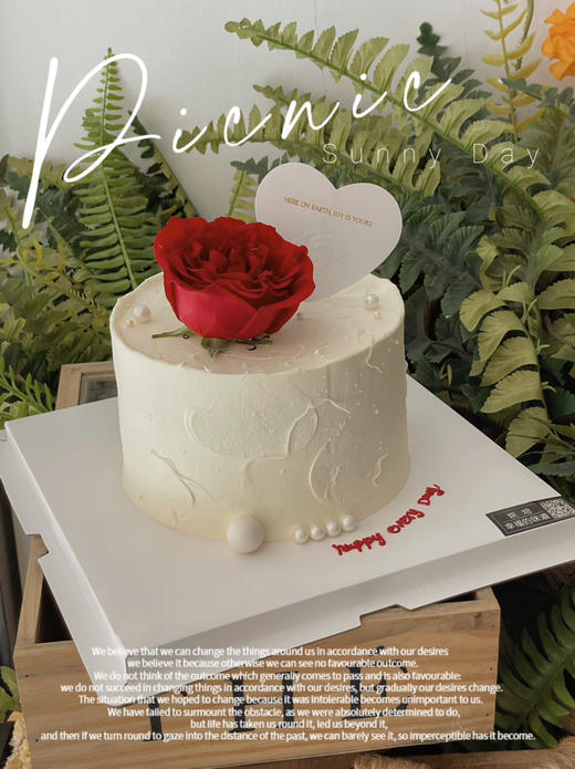 红玫瑰 商品图1