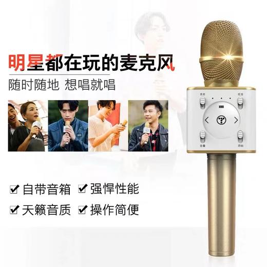 【秒杀】途讯Q7蓝牙无线麦克风话筒音响音箱一体唱歌练歌家用全能电容麦 商品图3