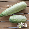 新品种mini小蜜瓜 比羊角蜜甜瓜更好吃！  酥脆清新芳香多汁 顺丰快递 商品缩略图6