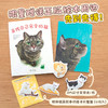 寻找自己名字的猫  日本绘本4冠王 斩获多项绘本大奖  暖心治愈的心灵启示 商品缩略图0