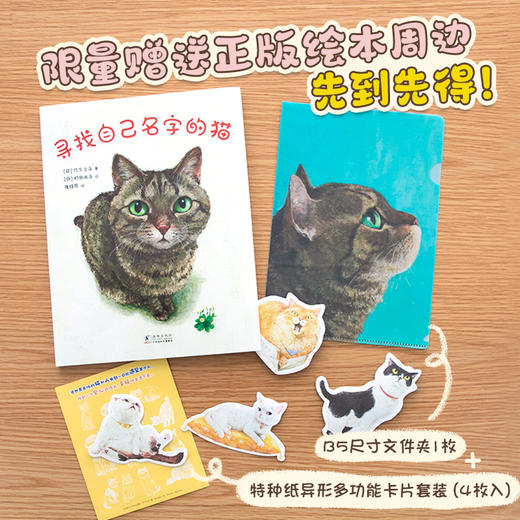 寻找自己名字的猫 商品图0