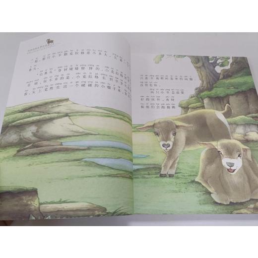 大角王+狼王洛波+大黄狗乌利+狐狸妈妈的爱+熊王(注音彩色美绘版) 商品图2