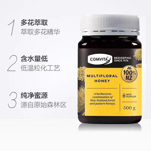 【BF】康维他蜂蜜多花500g 商品图2