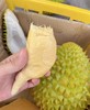 【整果销售】越南干尧榴莲 500g/份 果肉饱满/软糯香甜 商品缩略图1