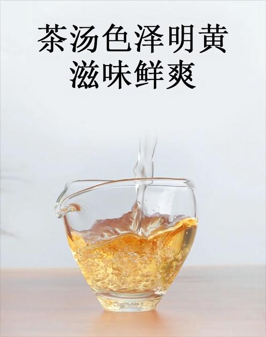 【高山韵味 醇滑清爽】俊元昌 2022年 虎虎生威 普洱生茶 357g/饼 商品图2