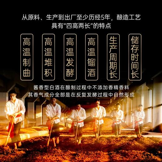 钓鱼台 贵宾酒（第三代）53度500ml 商品图4