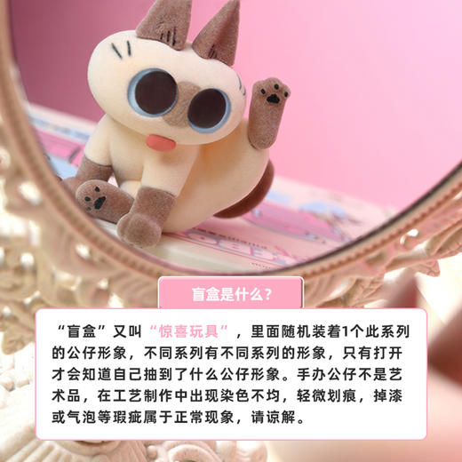 天闻角川  暹罗猫小豆泥的日常 第二弹 6只/盒 盲盒 商品图2