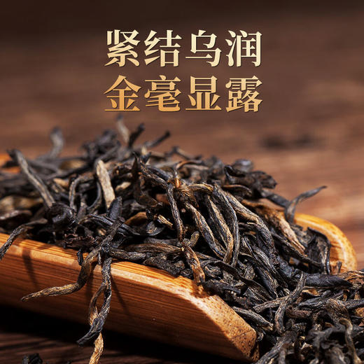 正山堂 金骏眉小金罐 红茶特制金骏眉茶叶特级试饮装7g 商品图5