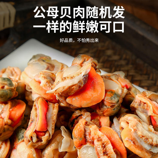 【生鲜专区】无冰扇贝肉 2斤/3斤可选  公母贝肉随机发 顺丰/京东包邮{冷冻生鲜请及时签收} 商品图3