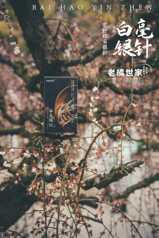 白毫银针荒野头采银针2022年特级散茶白茶 商品图2