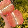柚子泰国红心果翡翠蜜柚 2/4个装 商品缩略图4