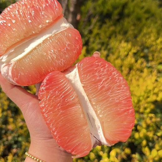 柚子泰国红心果翡翠蜜柚 2/4个装 商品图4