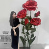 新款玫瑰花（运费自理） 商品缩略图0