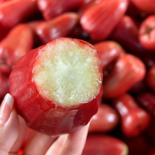 海南黑金刚莲雾顺丰快递包邮下单从三亚发货 商品图0