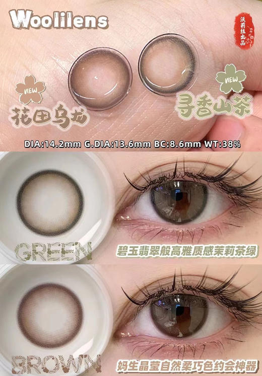 woolilens 半年抛 寻香山茶 直径14.2mm着色13.6mm 商品图6