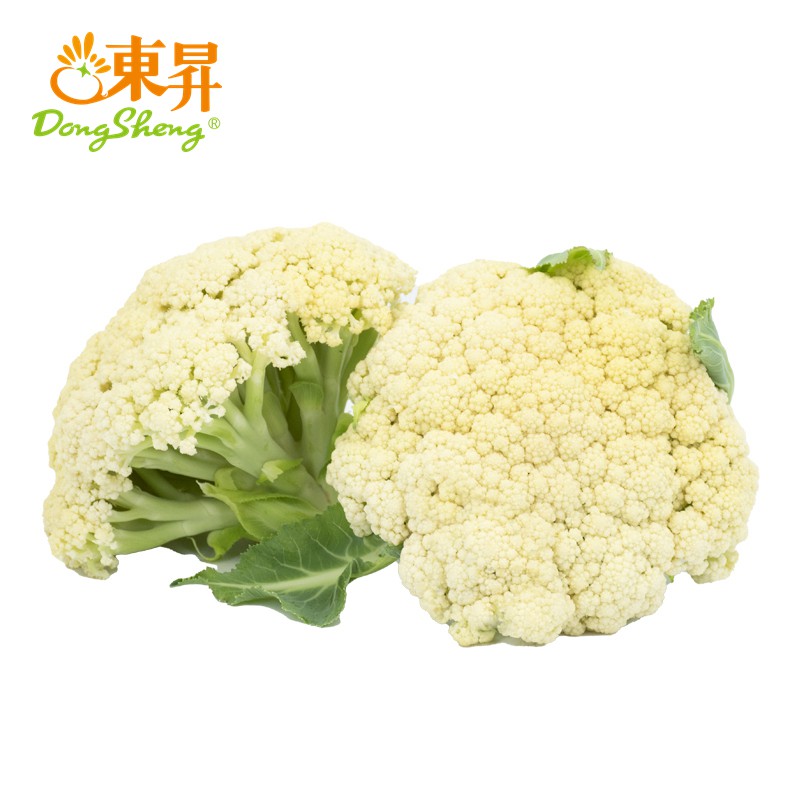东升农场  有机白花菜  椰菜花  广州供港蔬菜新鲜配送400G