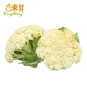 东升农场  有机白花菜  椰菜花  广州供港蔬菜新鲜配送400G
