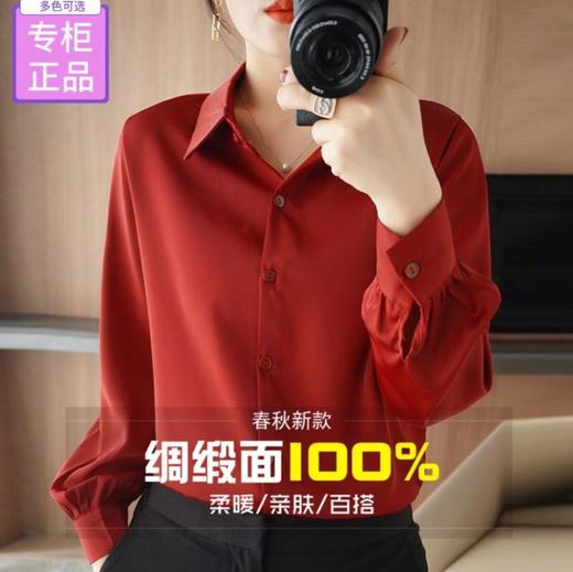 春季新款醋酸缎面长袖宽松大码衬衫DD 商品图9