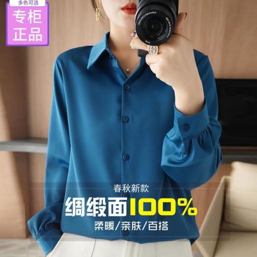 春季新款醋酸缎面长袖宽松大码衬衫DD 商品图0