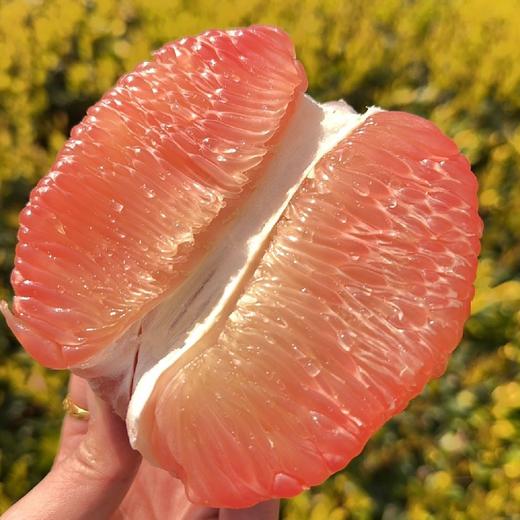 柚子泰国红心果翡翠蜜柚 2/4个装 商品图5