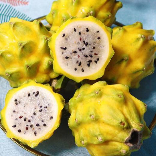 海南空运燕窝果（6个装） 商品图1