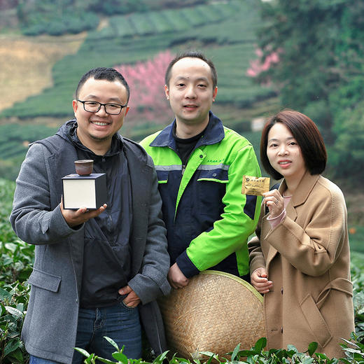 【2026年春茶-手工蒙顶甘露！一茶难求！魏久淞亲制】毛伟人同款 五代非遗传承 手工炭烘温性绿茶 温而阻疾 商品图13