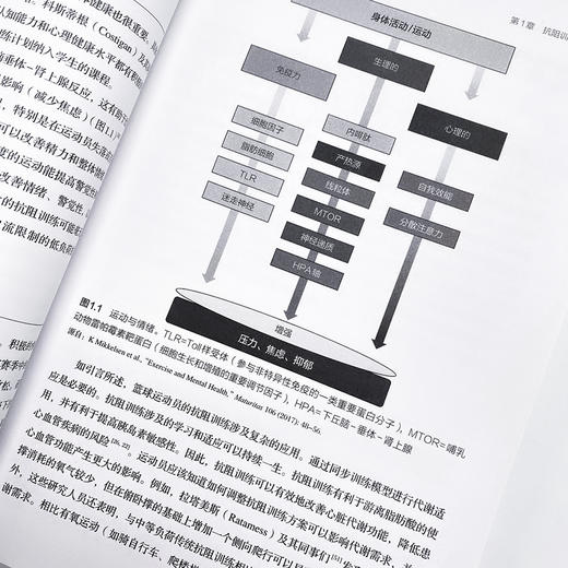 美国国家体能协会篮球力量训练指南 NSCA nsca篮球训练书籍 体能训练 篮球教学书籍 篮球教学 商品图5