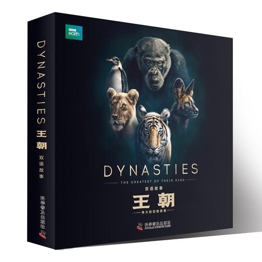 BBC 王朝：双语绘本+科普绘本 套装10册 商品图4