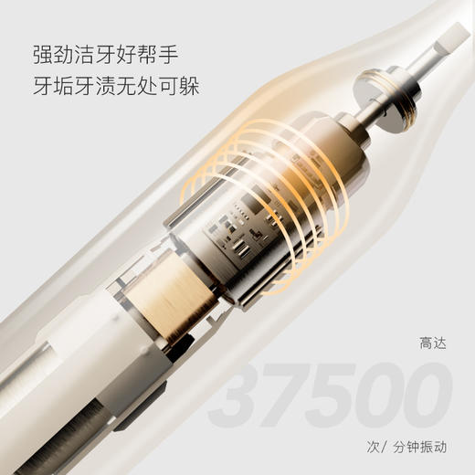 Apiyoo 艾优 成人声波电动牙刷 P8A 商品图4