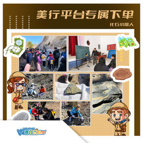 北京【美行平台专属下单】-化石小猎人