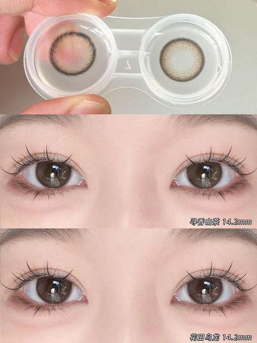 woolilens 半年抛 寻香山茶 直径14.2mm着色13.6mm 商品图4