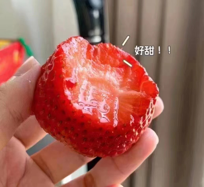 不曾入眼 何以入心 正宗丹东草莓🍓，完熟甜糯不空心！小时候的草莓味道，自然香浓～