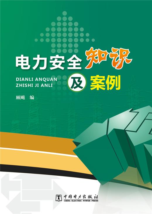 电力安全知识及案例 商品图1