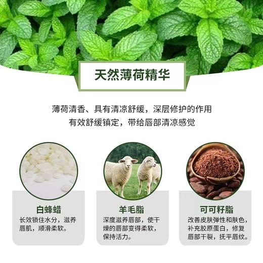 美国 Blistex 百蕾适碧唇薄荷润唇膏 SPF25  4.25g/支（一般贸易） 商品图5